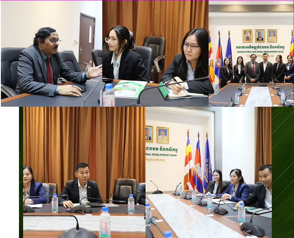 No content is currently available